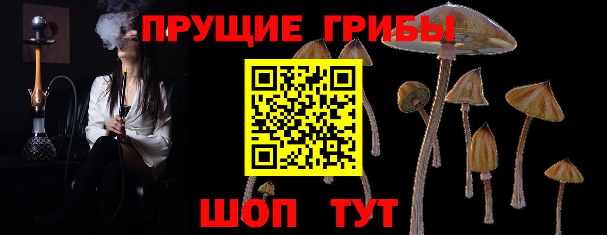 Псилоцибиновые грибы мицелий  Вход с VPN  Галлюциногенные грибы Cubensis  что такое   Чистополь 